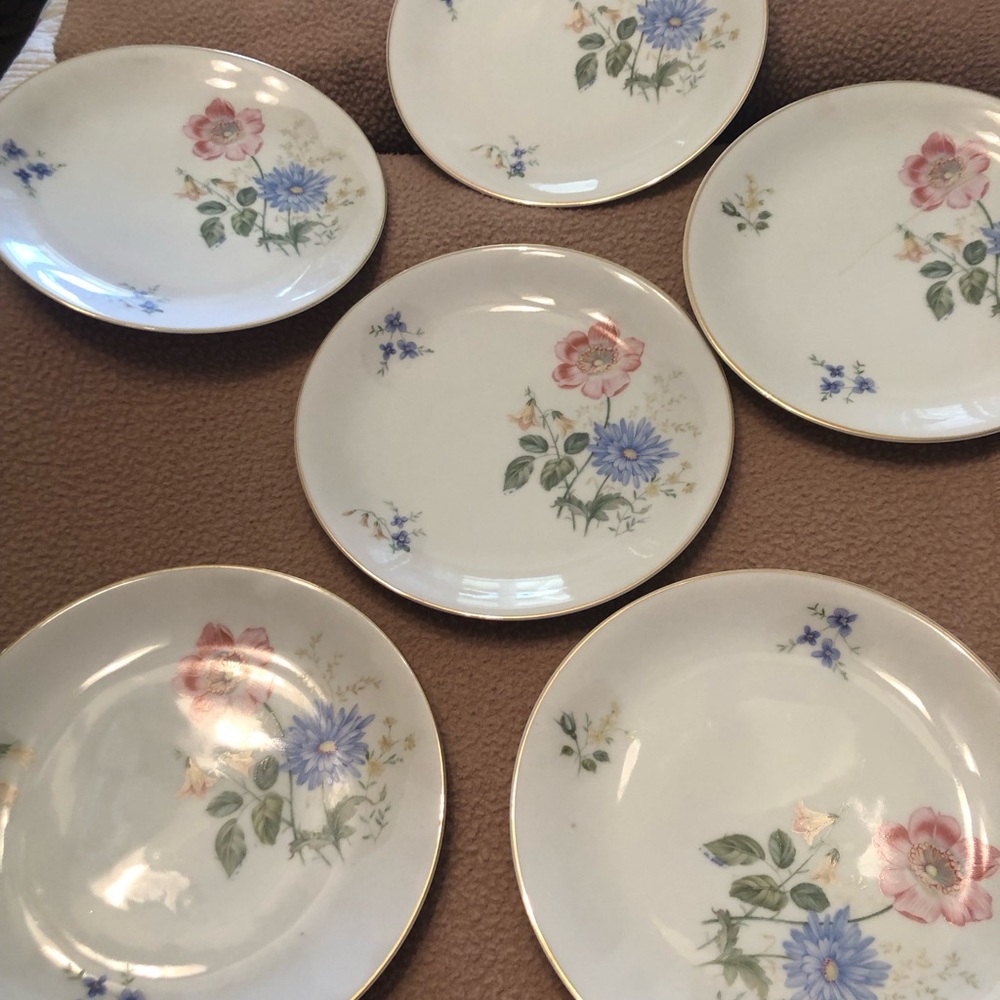 Vintage  Set Of 6 Arsberg Germany 7.5 “  Porcelain Floral Motif Plates